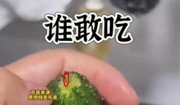 路边最新的瓜爆料,揭秘路边最新热门八卦事件