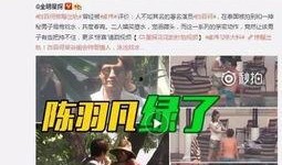 天涯爆料陈昱琳视频播放,陈昱琳视频引发热议，真相究竟如何？